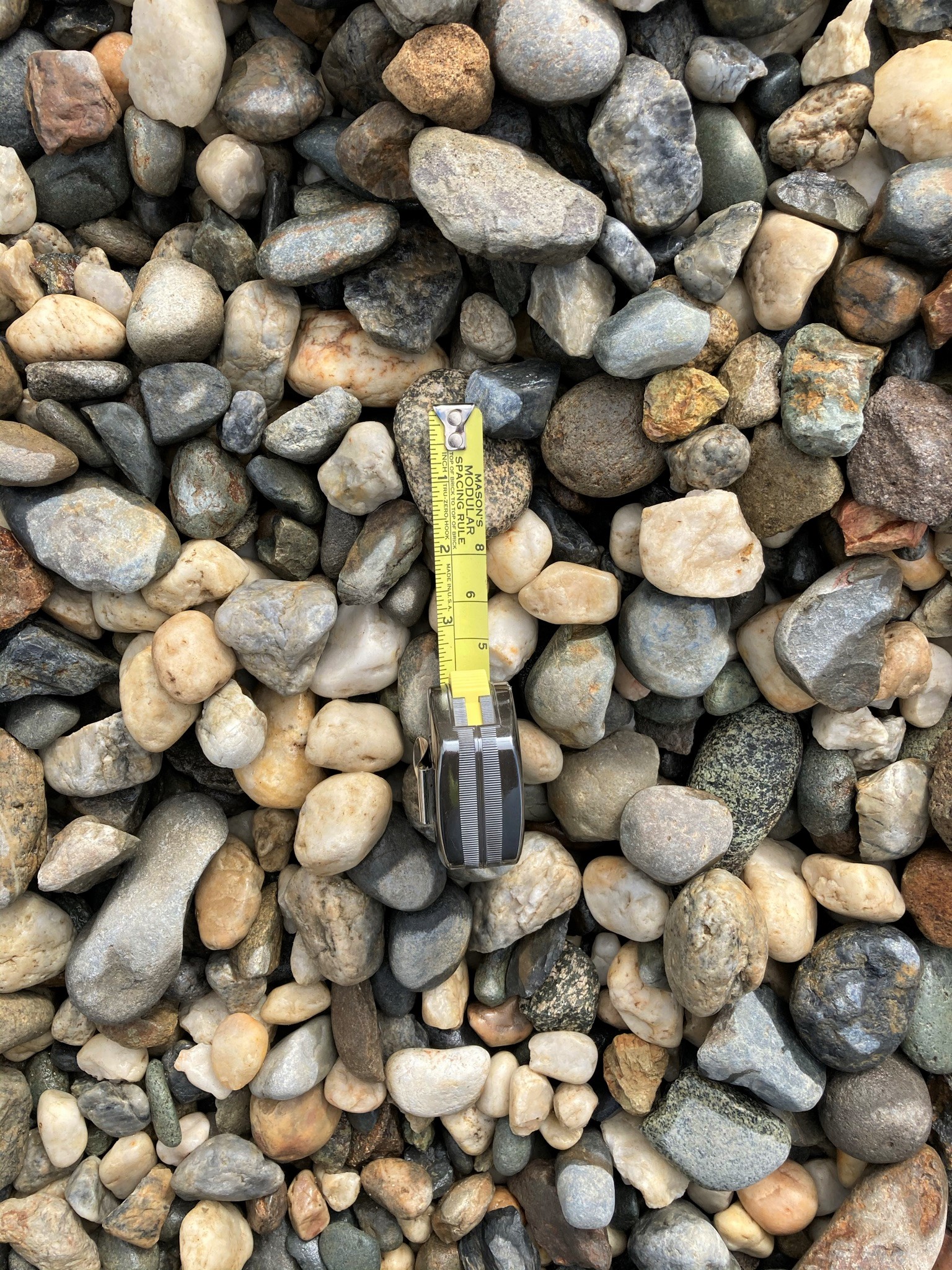 westside - landscape 1-1-2 black & white yuba